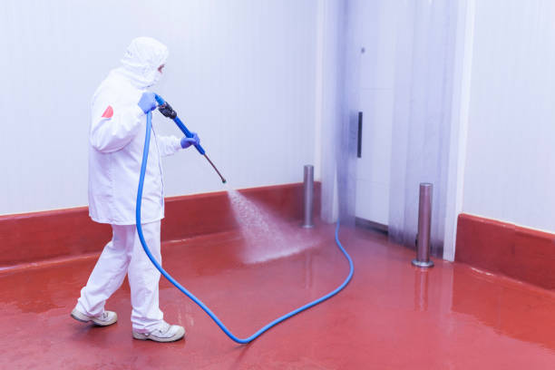 Best Gutter Cleaning and Brightening in Blanco, TX