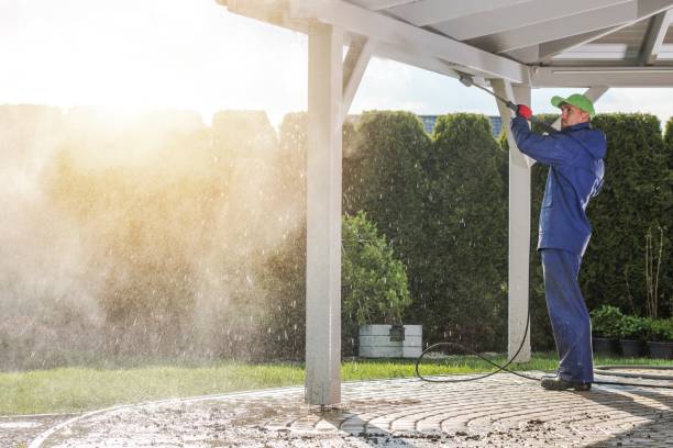 Best Driveway Cleaning and Restoration in Blanco, TX